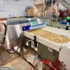 Máy dò kim loại IMD IIS 5008 Techik