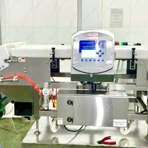 Máy dò kim loại IMD IIS 5008 Techik